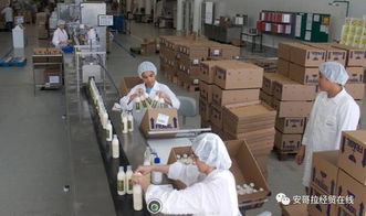 投資1000萬美元的化妝品加工廠在安開業，引領本土美妝產業新格局